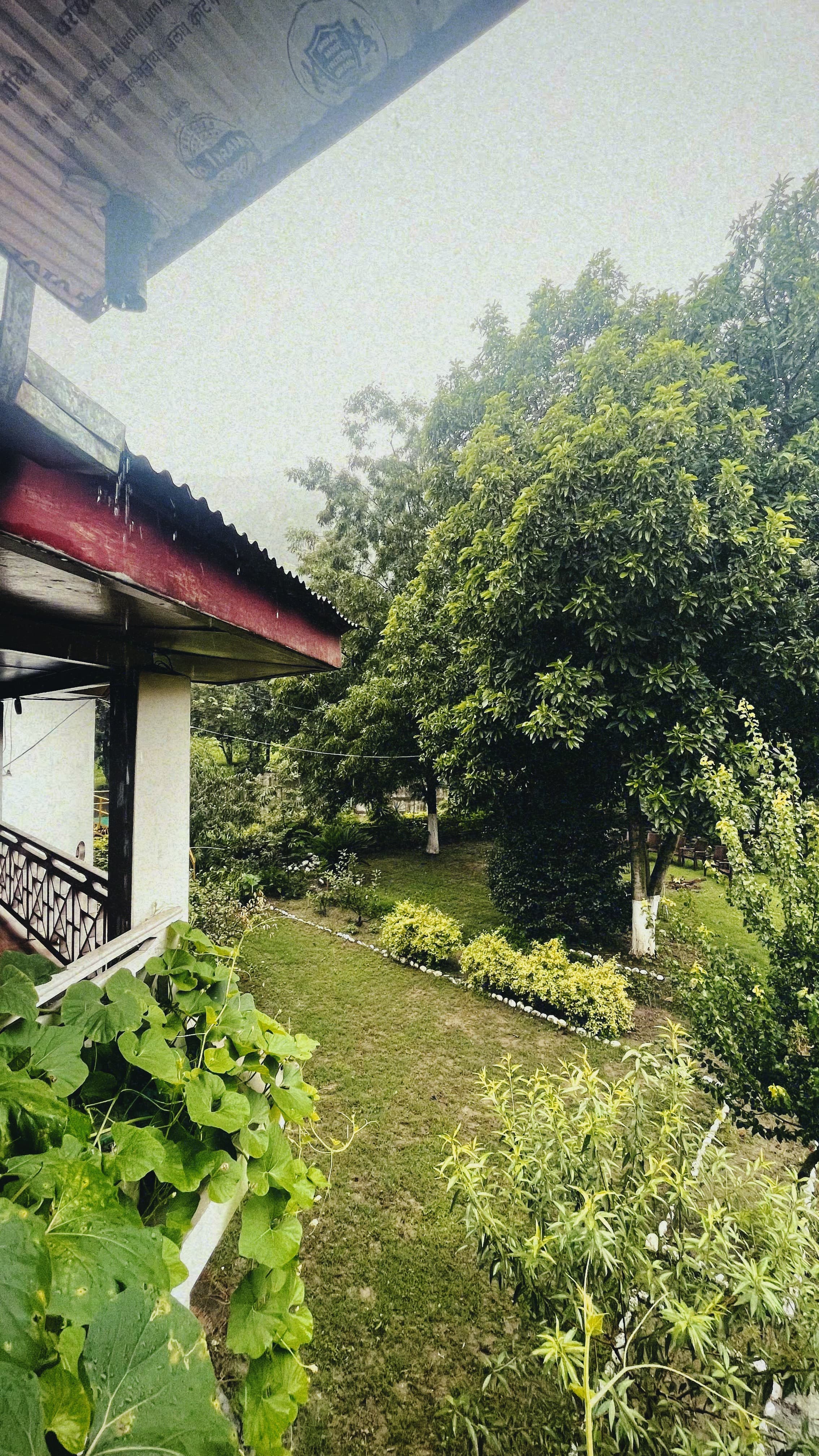 The peaceful front lawn of Jimmy's River Resort Chamba, featuring manicured hedges, vibrant trees, and a serene garden setting ideal for relaxation.