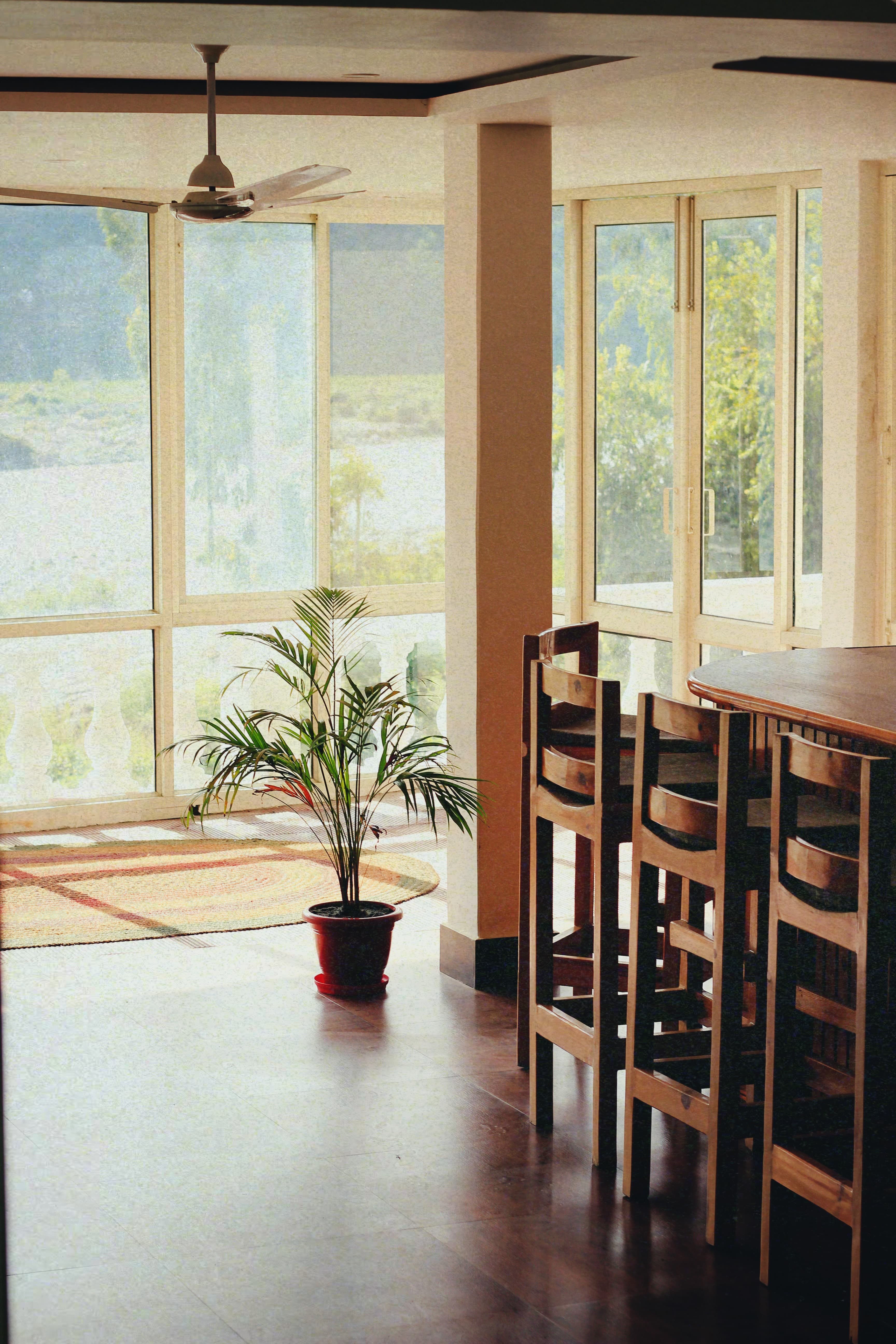 Bright and spacious reception area at Jimmy's River Resort Chamba, showcasing wooden furniture, a potted plant, and large windows offering serene views of the River Ravi and surrounding greenery.